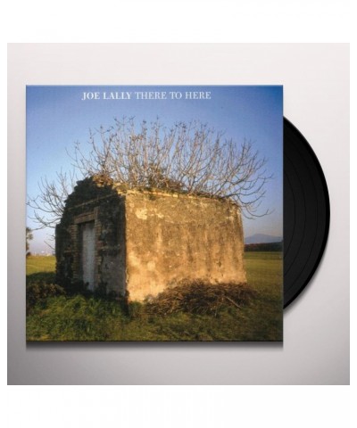 Joe Lally There to Here Vinyl Record $8.55 Vinyl