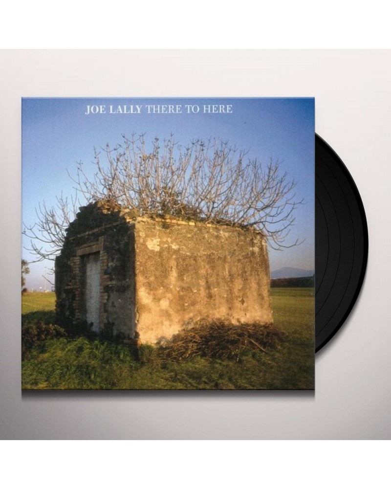 Joe Lally There to Here Vinyl Record $8.55 Vinyl