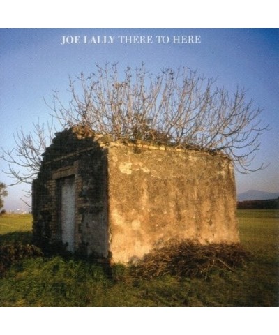 Joe Lally There to Here Vinyl Record $8.55 Vinyl