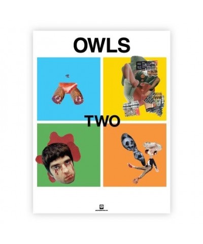 OWLS Poster (18"x24") $3.98 Decor