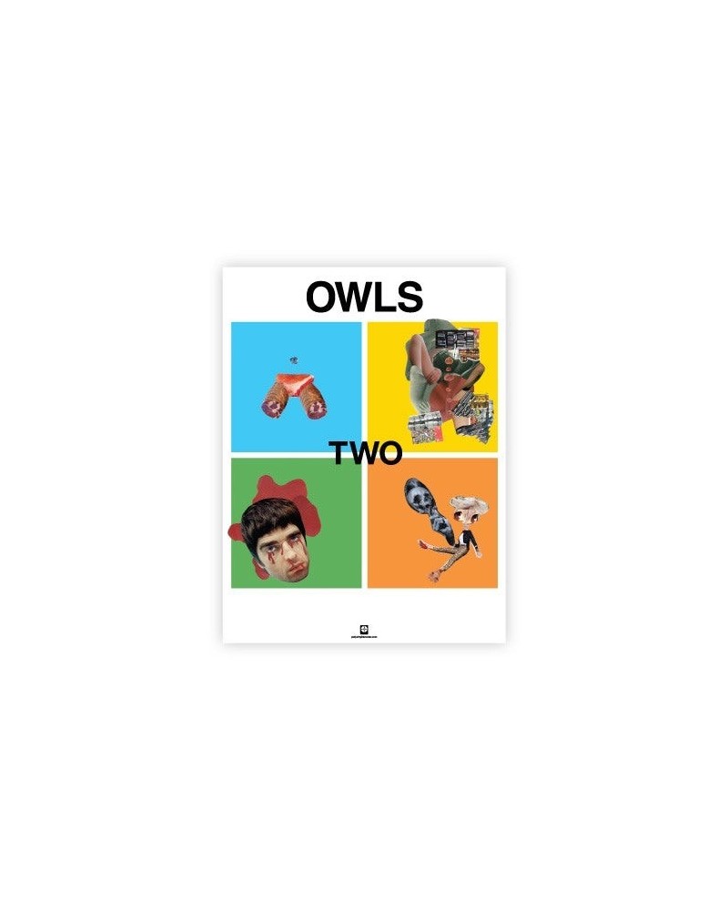 OWLS Poster (18"x24") $3.98 Decor