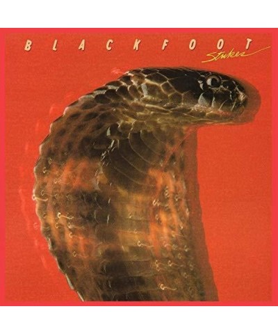 Blackfoot Strikes Vinyl Record $14.40 Vinyl